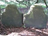 image of grave number 448316